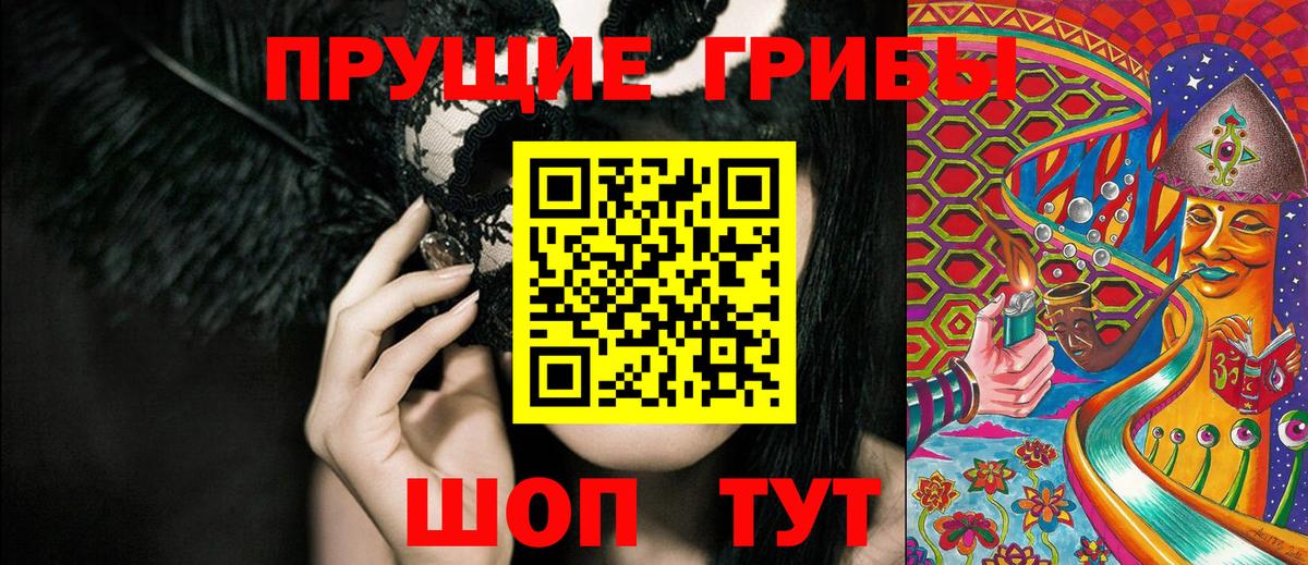 Псилоцибиновые грибы Psilocybine cubensis Камень-на-Оби