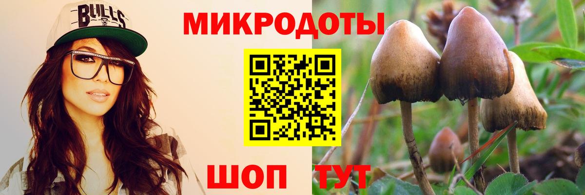 Псилоцибиновые грибы Cubensis  Вход с VPN  Камень-на-Оби 